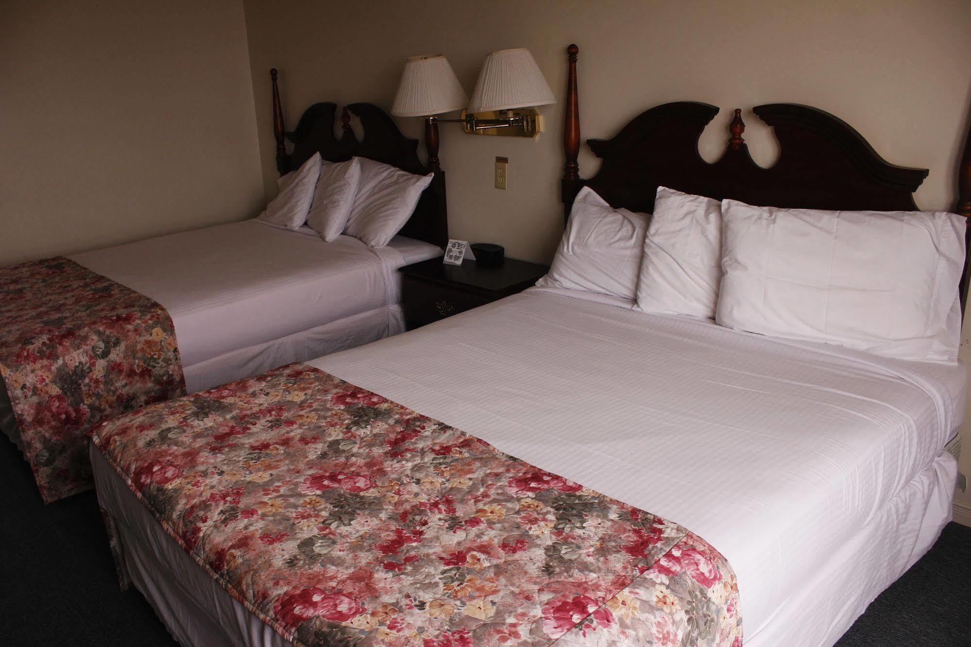 Brier Island Lodge Westport المظهر الخارجي الصورة