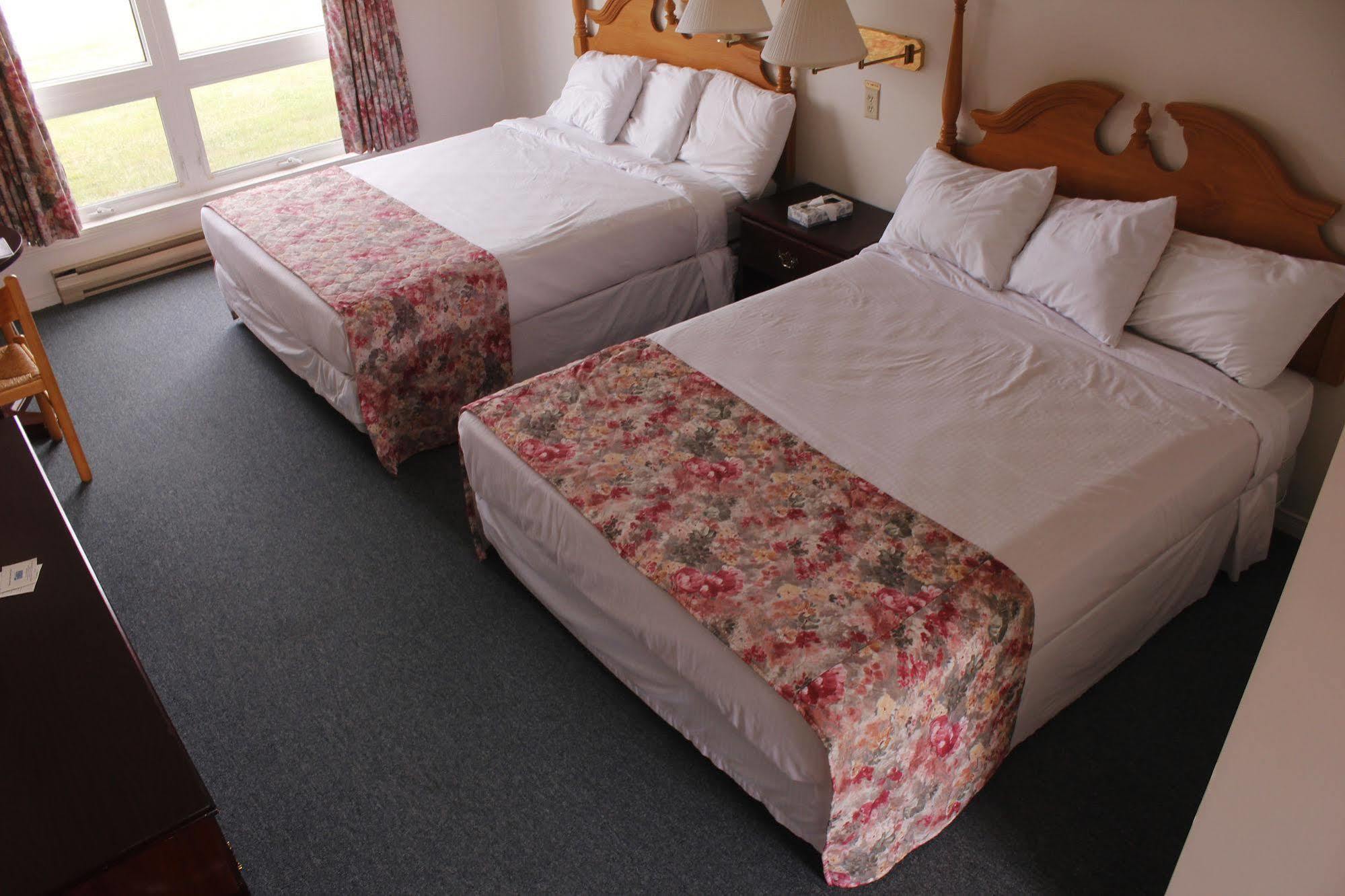 Brier Island Lodge Westport المظهر الخارجي الصورة